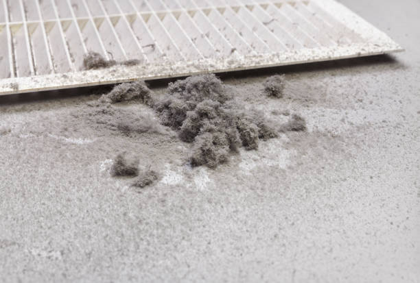 Best Commercial Air Duct Cleaning  in Surfside, FL