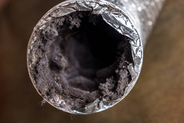 Best HVAC System Cleaning  in Surfside, FL